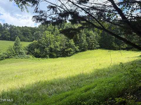 1461 Ponderosa Road, Parrottsville, TN 37843