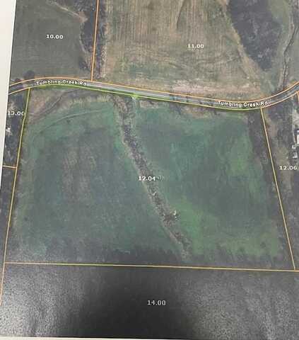 Tumbling Creek Road, GLEASON, TN 38229