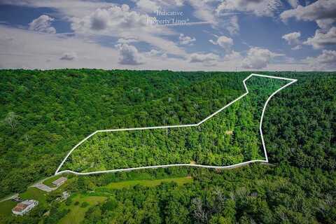 392 Possum Hollow Rd, Dowelltown, TN 37059