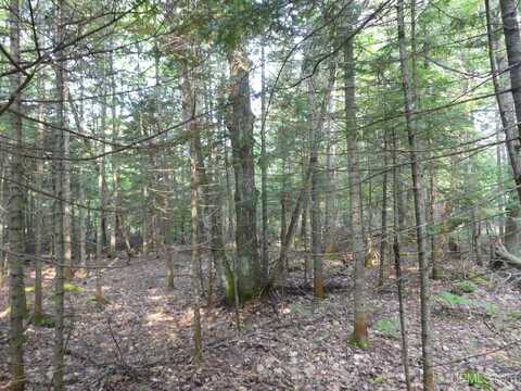 000 E Cemetery, Grand Marais, MI 49839