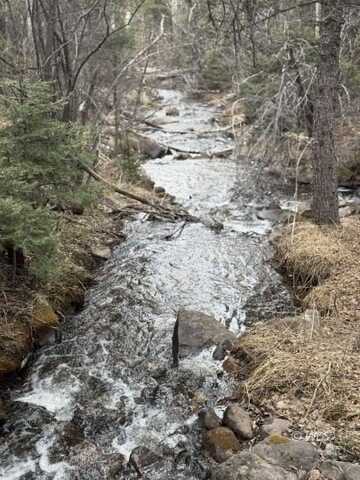 TBD Brills Rocky Ridge, Westcliffe, CO 81252