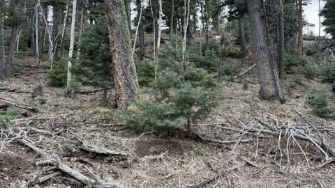 TBD Brills Rocky Ridge, Westcliffe, CO 81252