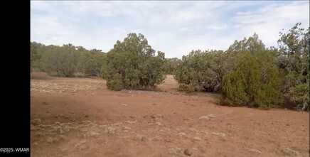 Tbd LAZY O RD, Show Low, AZ 85901