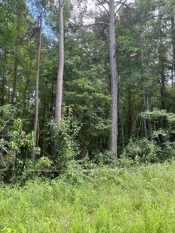 Cherokee LN, Buchanan, GA 30113