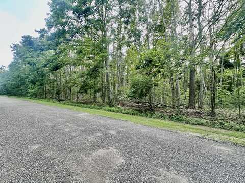 Dunson Lane lot: 46&47, Elmira, MI 49730