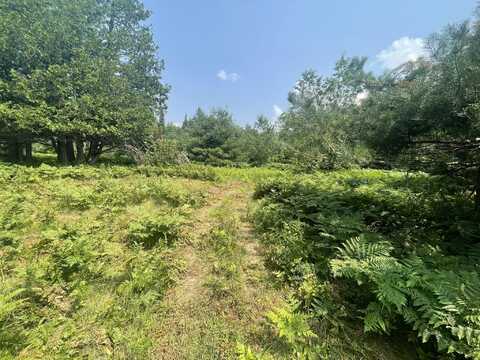 V/L Reams Road, Indian River, MI 49749