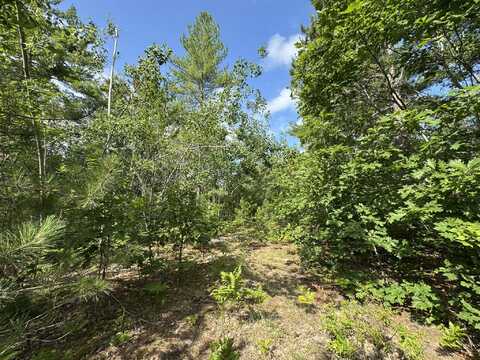 10320 Upper Mograin Road, Cheboygan, MI 49721