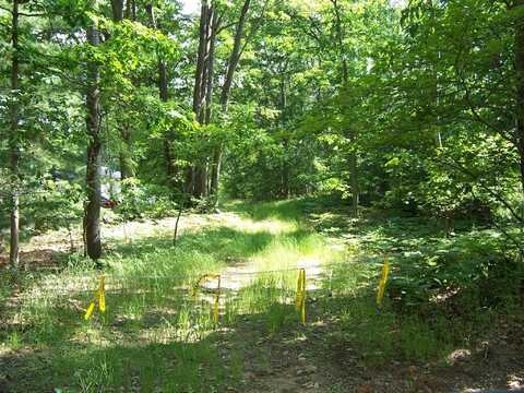5 Acres W Birch Road, Roscommon, MI 48653