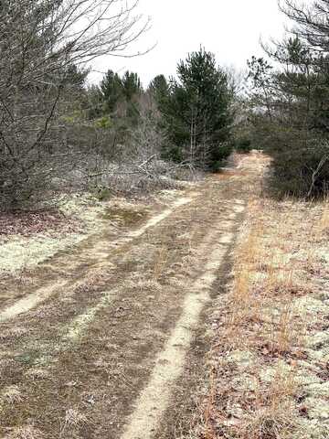 N Long Acres, Mancelona, MI 49659