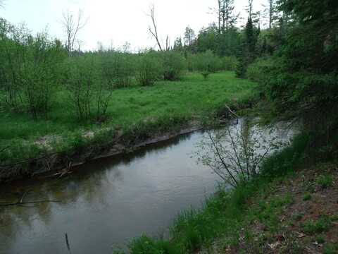 Spikehorn Trail, Indian River, MI 49749