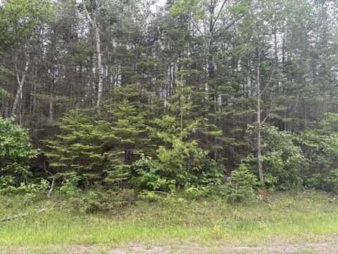 N Bayshore Drive lot: 271, Presque Isle, MI 49777