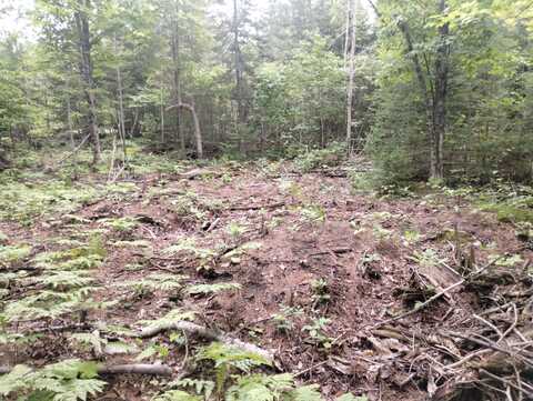 W Renwick Circle lot: 159, Presque Isle, MI 49777