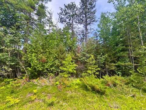 V/L Suanqua Drive lot: 117-119 & 141, Presque Isle, MI 49777