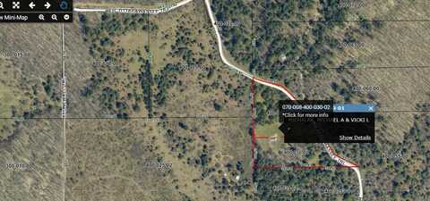 Tittabawassee Trail, Gaylord, MI 49735