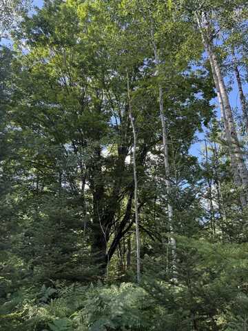 50 acres Herron Road, Alpena, MI 49707