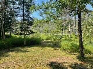 V/L Blue Springs Trail, Falmouth, MI 49632