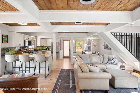 217 Longhorn Lane, Basalt, CO 81621