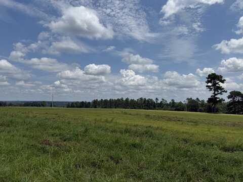 1474 Shaws Fork Road Road, Aiken, SC 29805