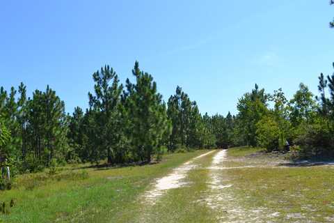 5308 Enigma Drive, Windsor, SC 29856