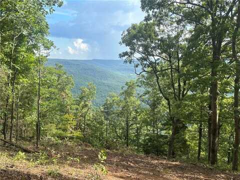 NC 6850, Jasper, AR 72641