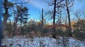 34 Dove LN, Holiday Island, AR 72631