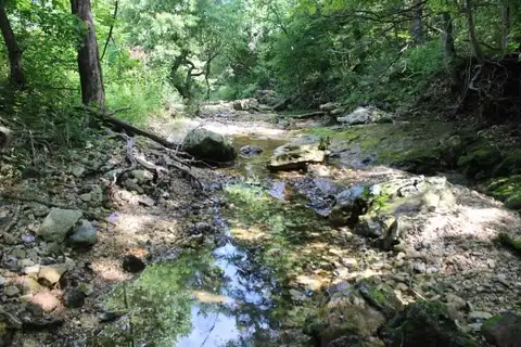 Hidden Valley DR, Omaha, AR 72662