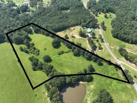 0 COUNTY ROAD 295, JEMISON, AL 35085