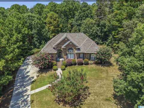 301 EMERALD LANE, CHELSEA, AL 35043