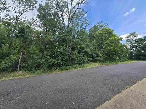 XX Stover Street, Hot Springs, AR 71913