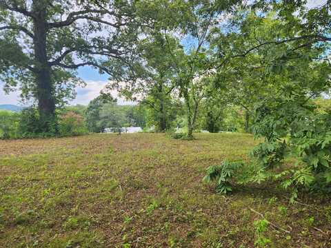 Lot 4 Espalier Drive, Decatur, TN 37322