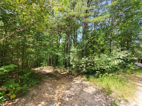 0 Bowater Road, Pikeville, TN 37367