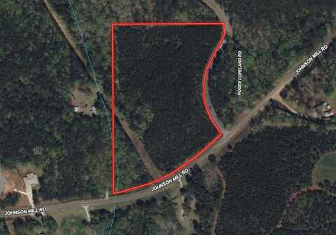 11.02 Ac JOHNSON MILL ROAD, HAMILTON, GA 31811