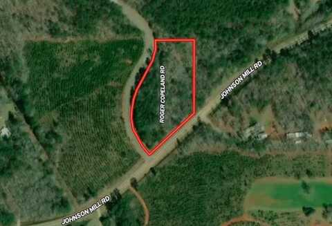 2.03 Ac JOHNSON MILL ROAD, HAMILTON, GA 31811