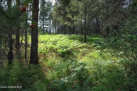 Lot 1 Vivian Acres, Sandpoint, ID 83864