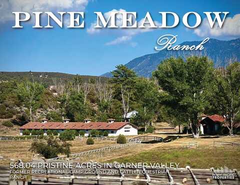 61250 Hwy 74, Mountain Center, CA 92561
