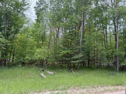 0 Pratt Lake, Gladwin, MI 48624