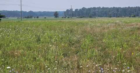 Vacant Old 51, Carsonville, MI 48419