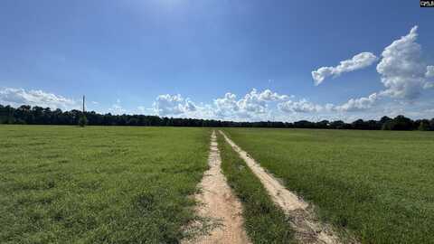 830 IW Hutto Road, Swansea, SC 29160
