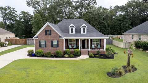 231 Hilton View Court, Chapin, SC 29036
