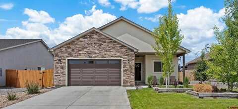 1409 Weminuche Avenue, Montrose, CO 81401