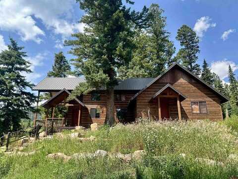 237 Elk Drive, Cimarron, CO 81220