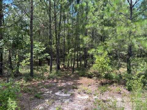 Feather Run Road, Kershaw, SC 29067