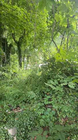 38 Porter Court, Bristol, CT 06010
