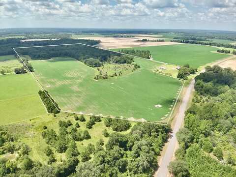 92+/- acres Bazemore Mill Pond Rd, Gordon, AL 36343