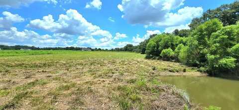 3.347 Acres County Rd 91, Slocomb, AL 36375