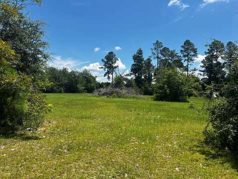 00 Buck Drive, Douglas, GA 31535