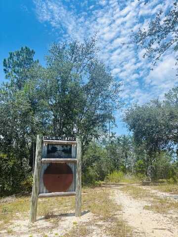 149 Red Bluff Road, Milwood, GA 31552