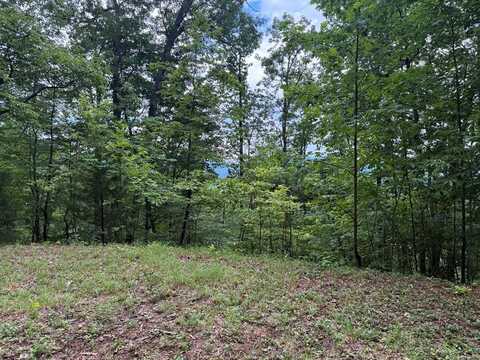 Lot 74 Wildflower Phase 3, Franklin, NC 28734