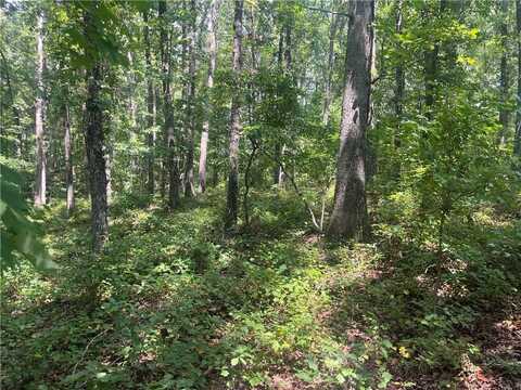 2061 Henry Scott Rd-LOT A 2.9 acres, Ball Ground, GA 30107