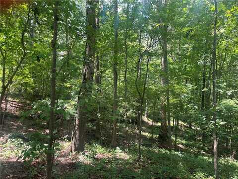 2049 Henry Scott Rd-LOT C 2.3 acres, Ball Ground, GA 30107